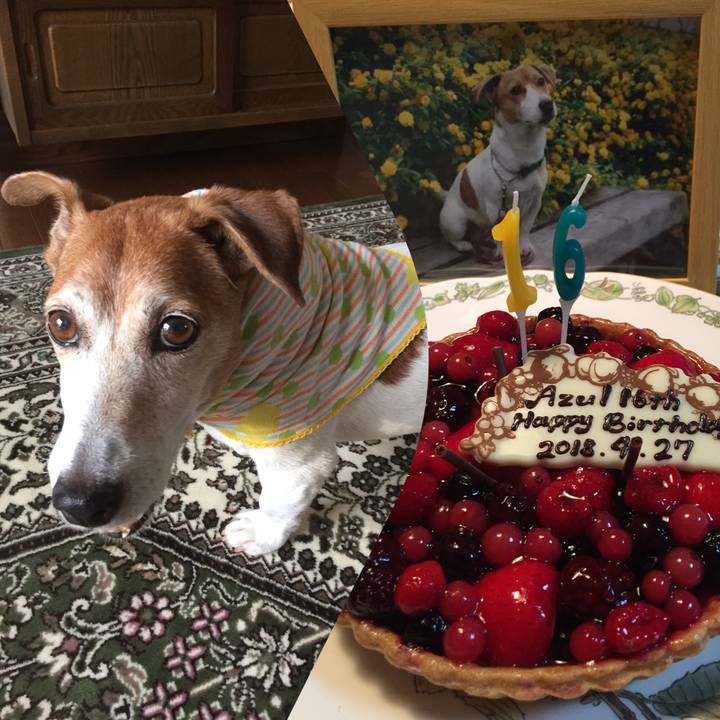 4a1c30a8 6949 4f9c b5a5 7add7e1ae90a 1524833240824