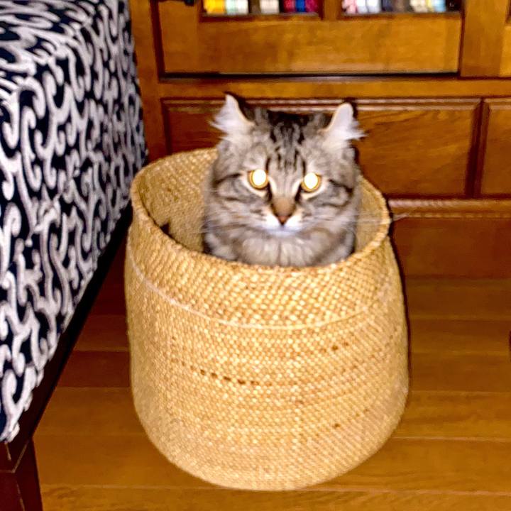 4a1c61c4 d0e8 4aa5 a9bf c73c2b38627e 1587704448270