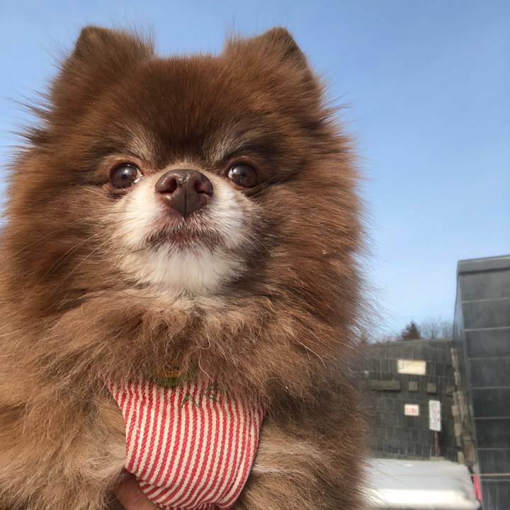 4a1d06ab c9fb 4e79 8762 1444c0f72a4f 1550623711553