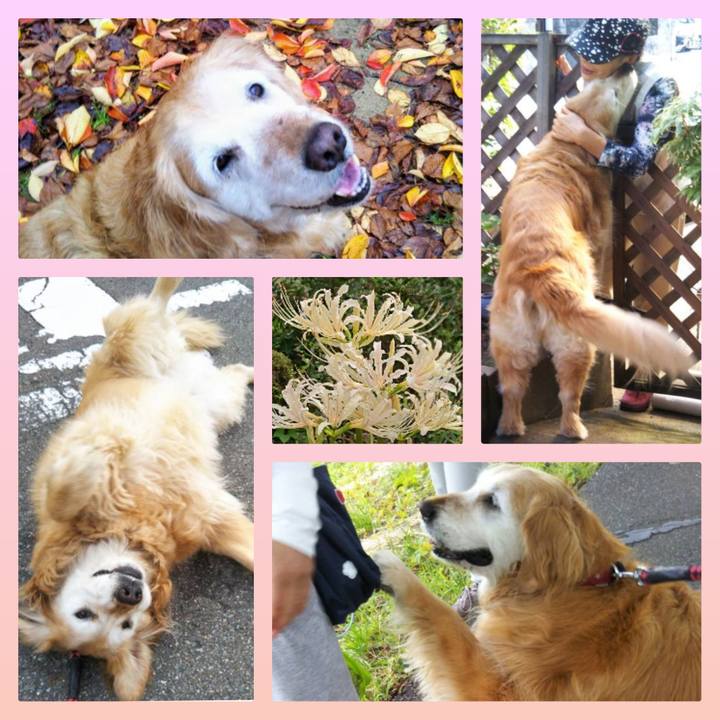 4a1d3c60 d6c7 43e9 aa5f b2efd53f796d 1601919982515