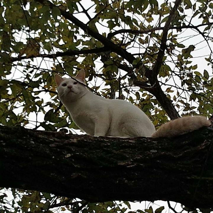 4a1d422f 6639 4dbe beb4 9d4a5c063543 1510650187902