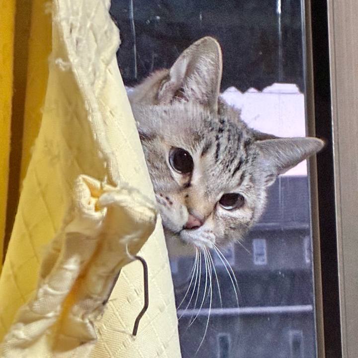 4a1d7b03 5bea 448d 9c1b 1fbc90ad060c 1770454617208