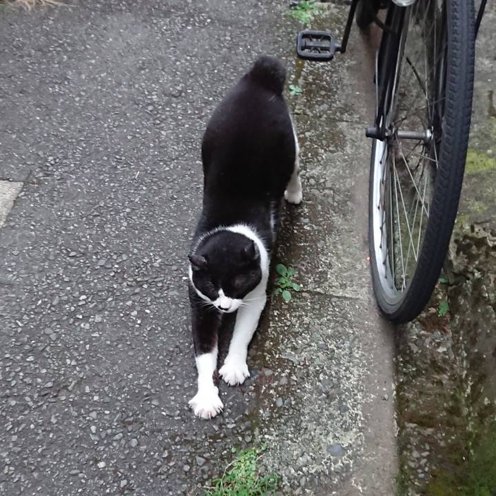 4a1d9b18 ecb2 4c4a 8802 4ff37d2307e6 1661334804921