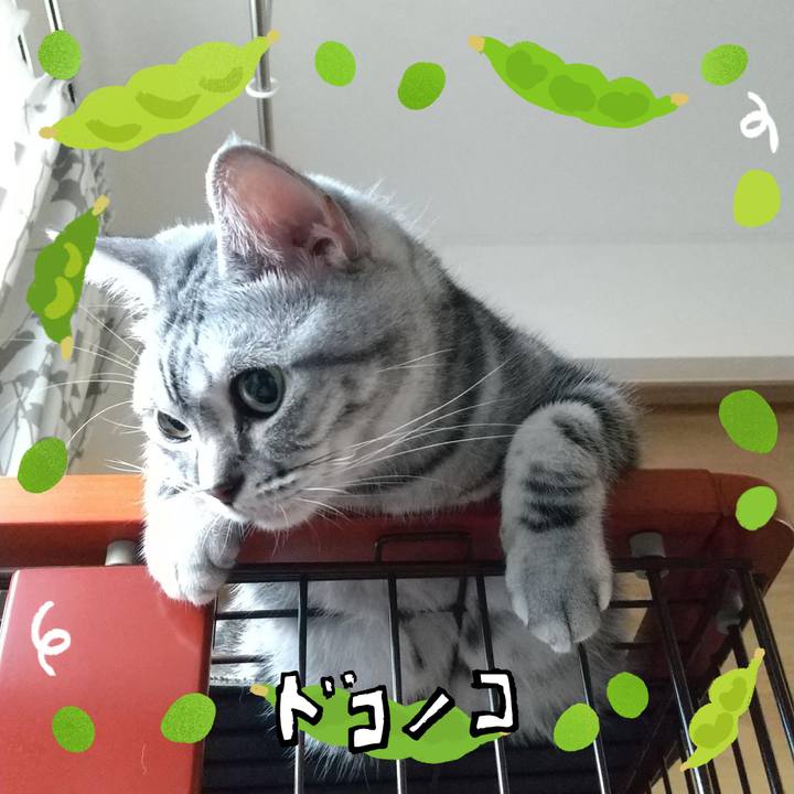 4a1db800 43da 4757 b08b eddad76d59e9 1721339724880