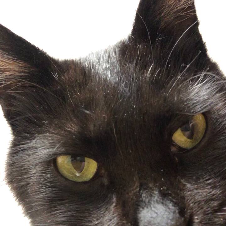 4a1dd72d 5560 4db3 99e7 ffc6ae4aaa45 1590233627984