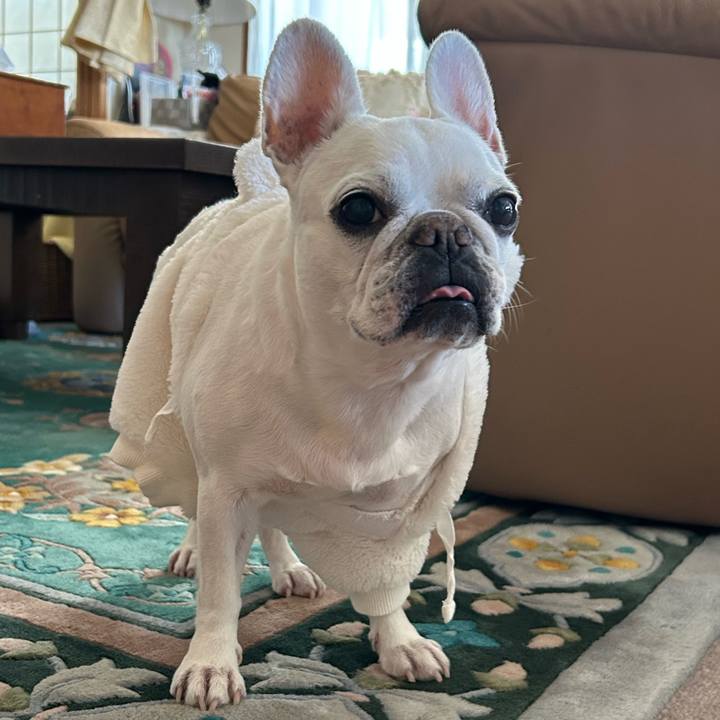 4a1ddea4 9d4c 475a 8d82 9c23e0d03b5e 1699877411273