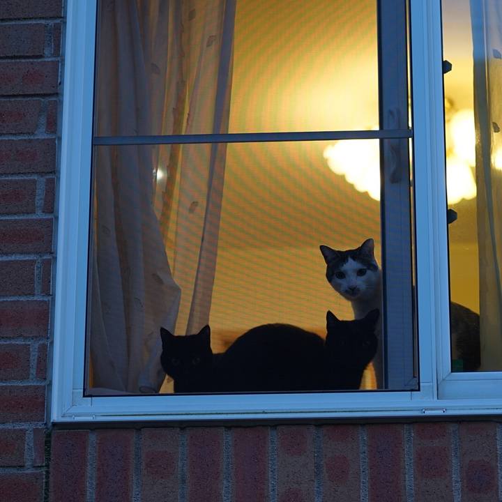 4a1de0bf 5f0a 472d bd4b 31acbe7e50a9 1552866765504