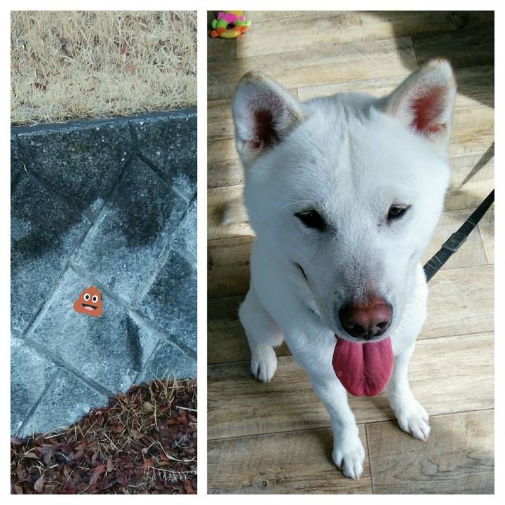 4a1df10f 1da5 4e32 ae11 95038df44c76 1551759920715