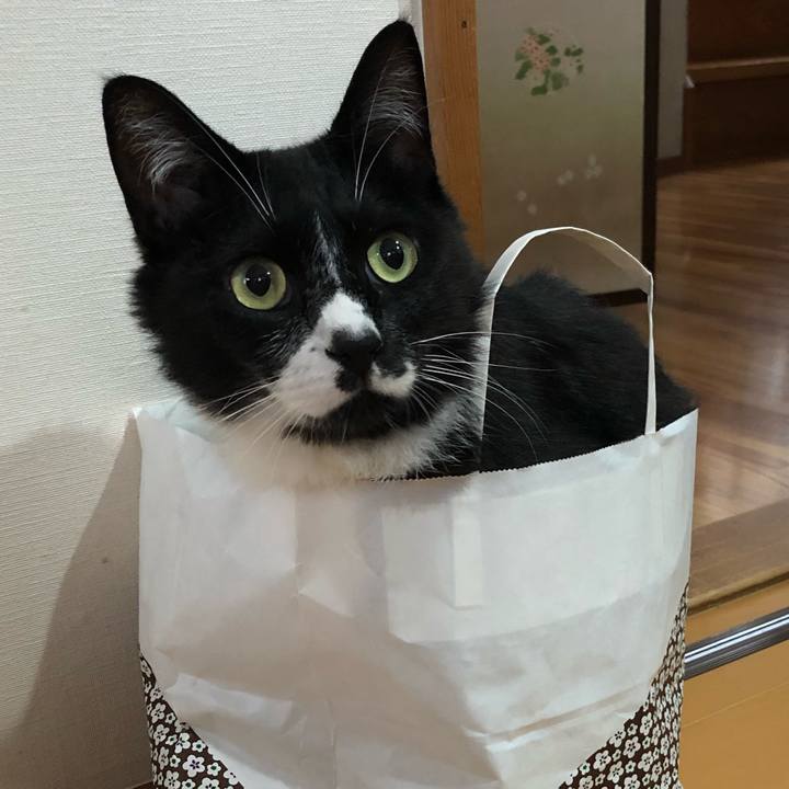 4a1dfccc e9f4 4840 84f8 091ed247c97a 1625629643452