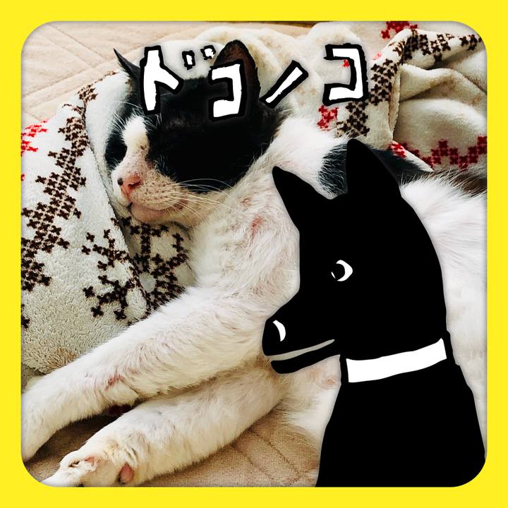 4a1e08d2 92ef 4b9d 8f34 6cc54119057b 1622888620100