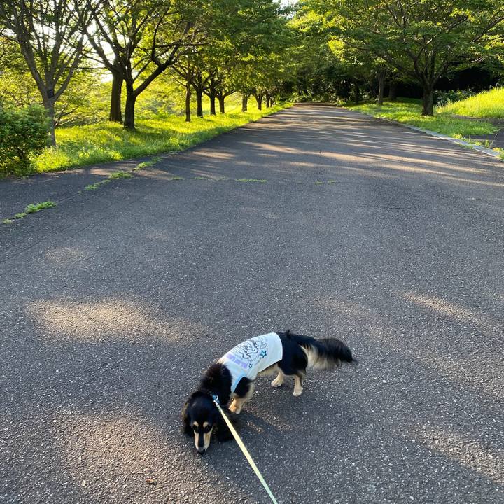 4a1e2b89 ef8f 420b 9969 846d8640bd3b 1688945719278