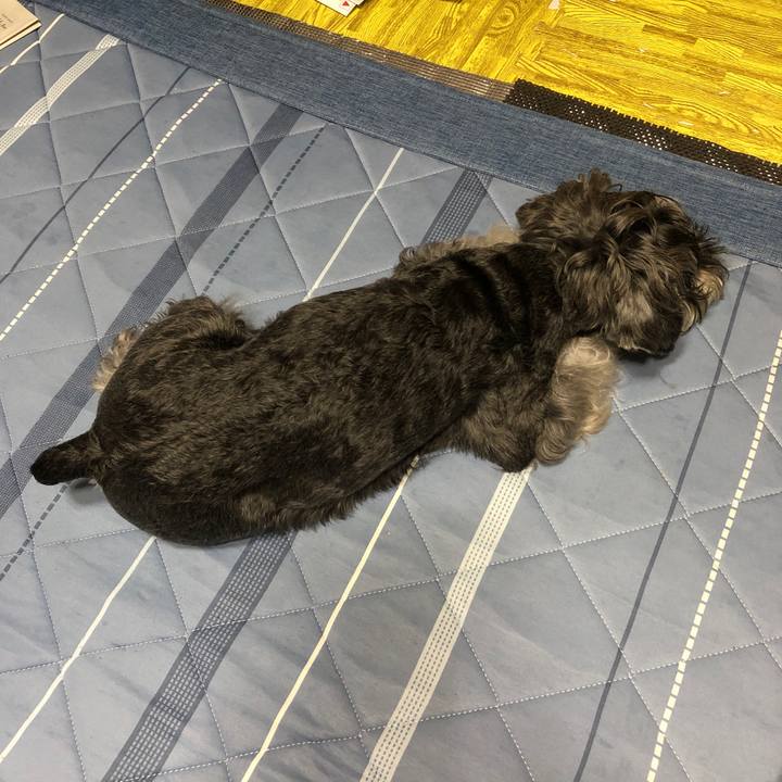 4a1e383c 7fec 42d6 a827 526a68581513 1689332962463