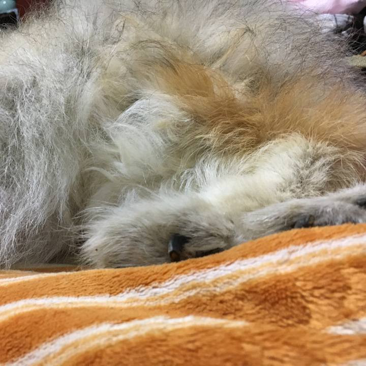 4a1e9012 43a6 4079 bb7a 967670477a24 1608529236465