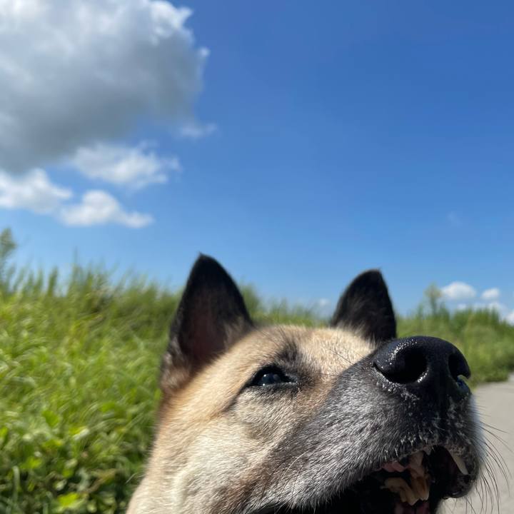 4a1e9379 83ee 48ab 94ee 104190e086c6 1662902023636