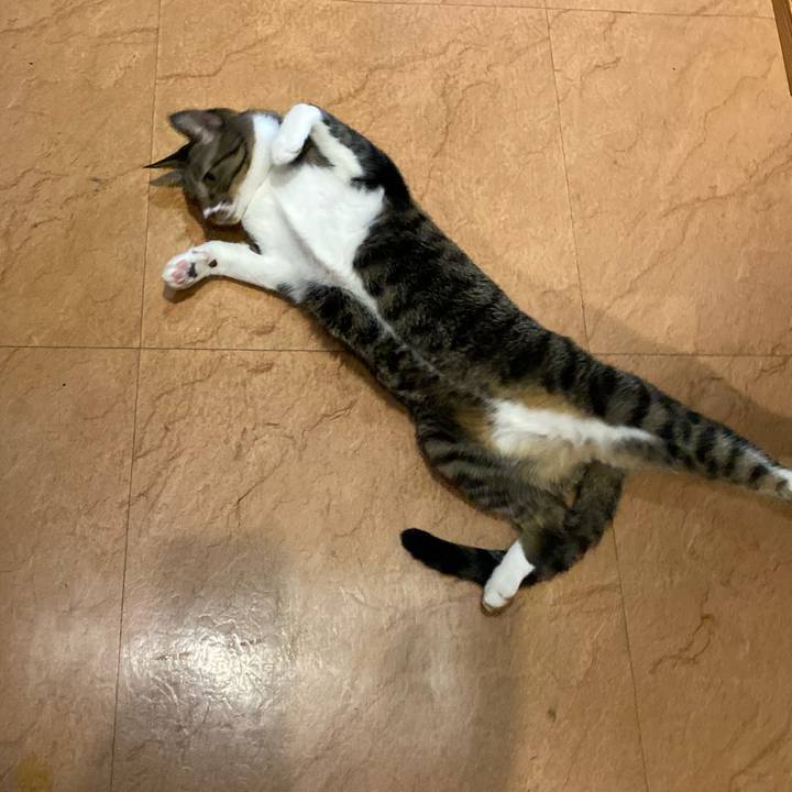 4a1e9f61 8f5a 4642 b32a 89e82f9918b2 1693042897388