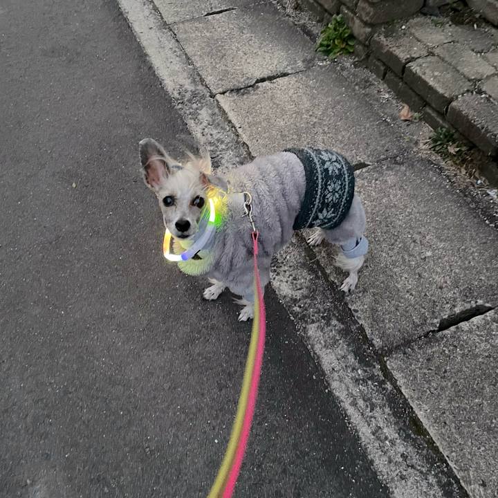 4a1ea127 ba2f 4b58 afe3 baa04a0d0e93 1767691290537