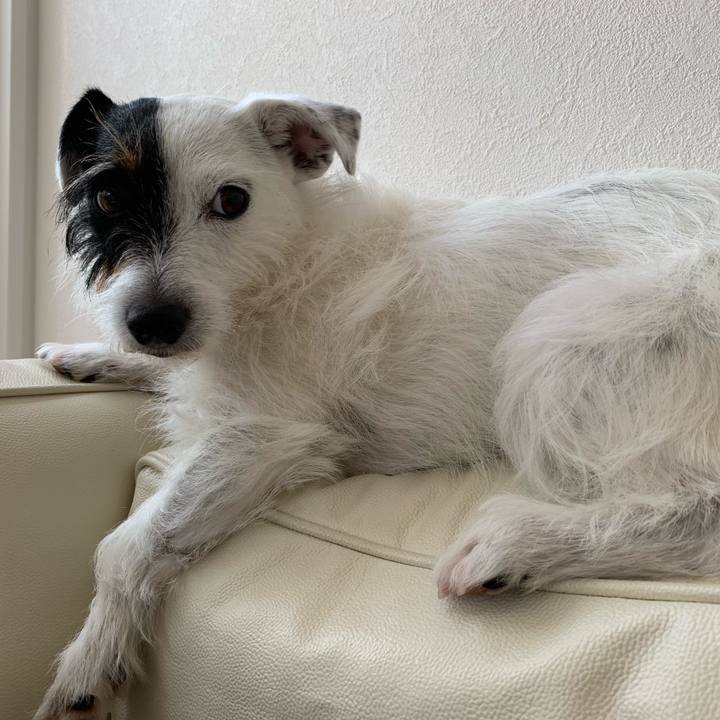 4a1ec7fc 2161 4827 9ff7 0b490c26e887 1560320376262