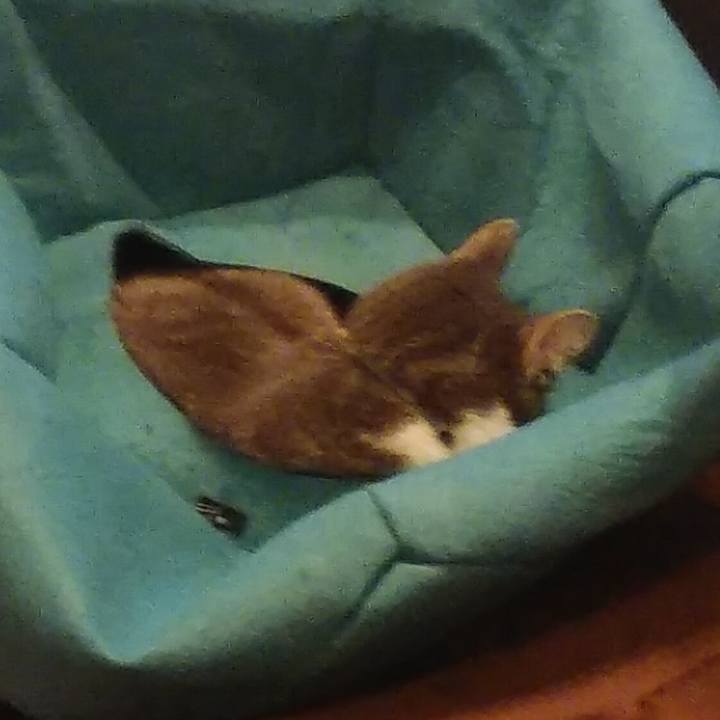 4a1ee8ba 13ae 4081 8899 898c4eca4928 1580217342284