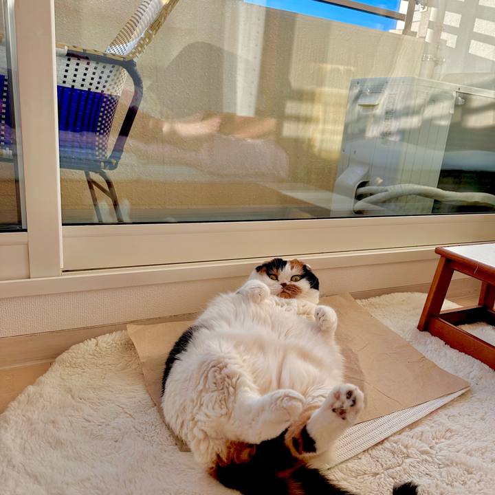 4a1f2576 b594 4eb5 b5c0 c4cd9c3c9c73 1699483356420