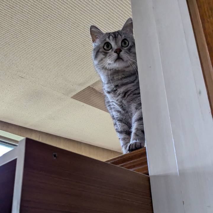 4a1f4254 759a 497d b2af 0866ff9b29fa 1721638897507