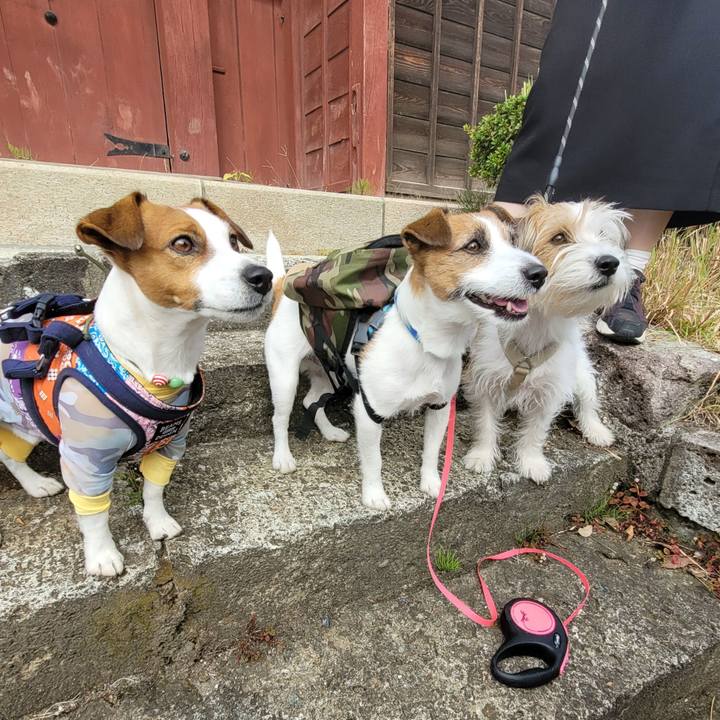 4a1f4ca7 7f3f 44df 9837 45f4b78deb75 1700867839089