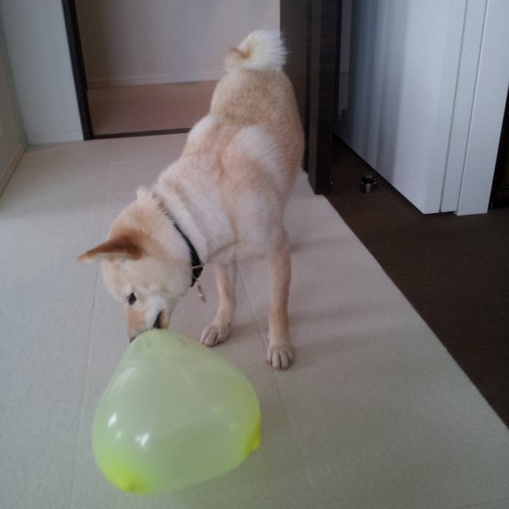 4a1f5253 b7fc 48fc afa2 8ac244212735 1621339338537