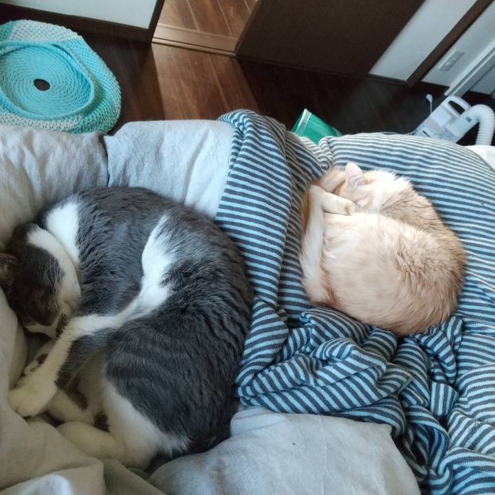 4a1f6c71 0106 4ac4 89f5 767a0175b352 1646438044686