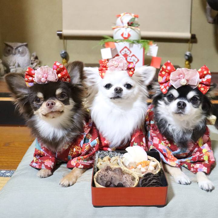 4a1f859d 9986 4276 9784 1852f6e2e211 1767241578870