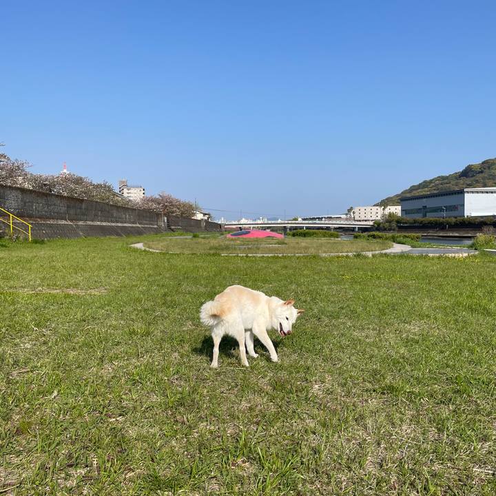 4a1fb05f 7353 42f0 9015 6e08a33a033b 1649486595850