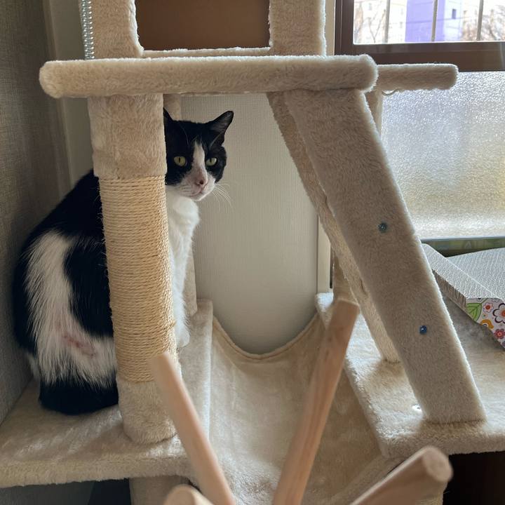 4a1fbb06 62fd 40c8 a746 5af4f2afc967 1641117638085