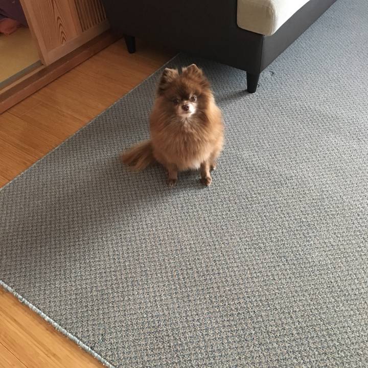 4a2016fb 4bdc 4403 8678 e596a1433b1d 1512786443558