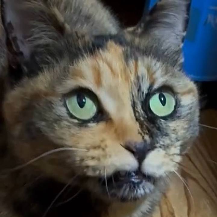 4a201849 0654 4df4 883d 5546914c39c4 1765051763711