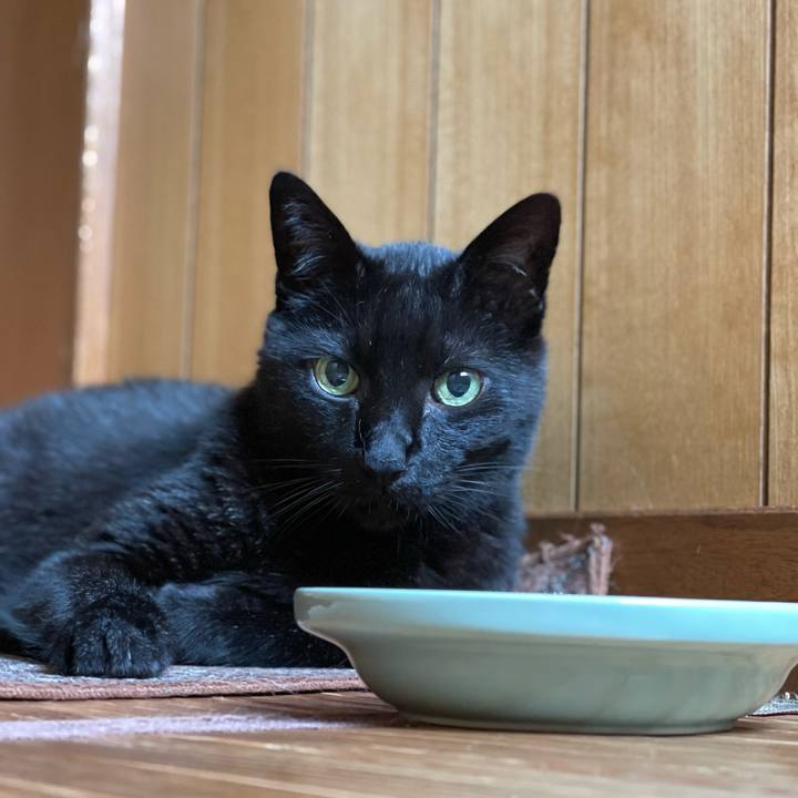 4a202ea4 429b 43e9 b3ae b06535facb7d 1656551241121