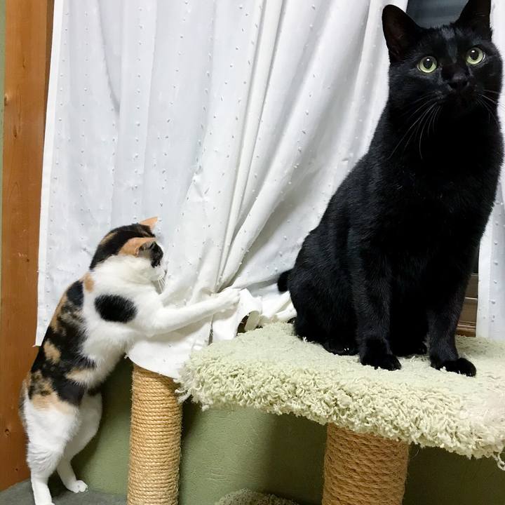 4a206618 b9c9 4145 ae4e 0c16490bb8d1 1514939441205