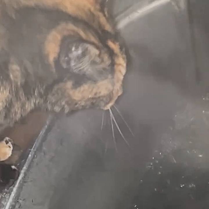 4a208f4f 259b 40be 8c0e d1f1f9c5ba9f 1772572075470