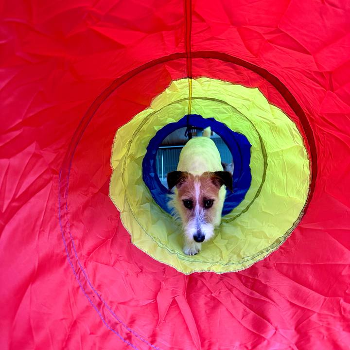 4a20917c 364b 46b8 9668 2aeb6226f452 1714227313576