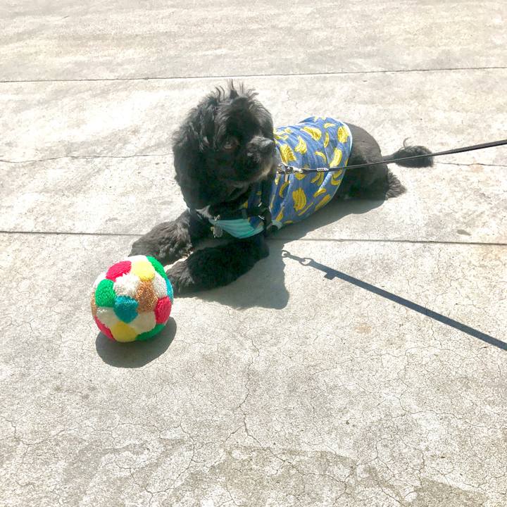 4a209dfe d6db 46a4 93fd a4bb027b18c6 1555929534298