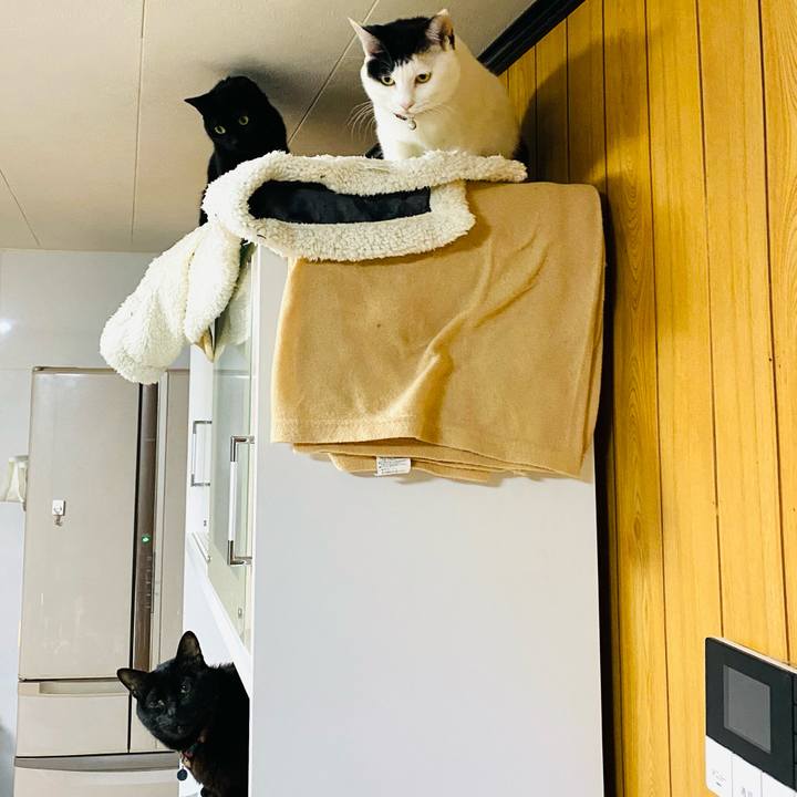 4a210922 48df 4d6e bde2 f3c336e576a4 1670587027999