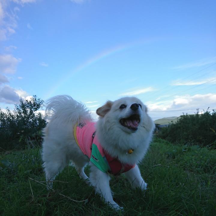 4a212ed5 3cb2 481f adf7 1335f8a899ab 1538431664286