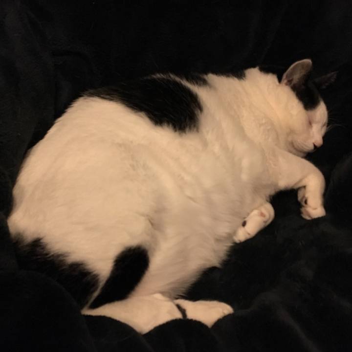 4a2133a5 22b5 4ac1 8c3a d07cf743d9be 1512996502362