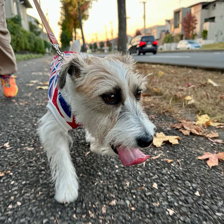 4a21534f 1039 49b3 bb51 66799533b248 1699018147438