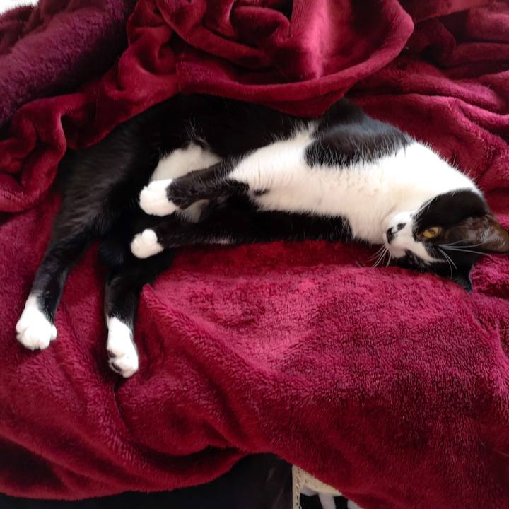 4a2184e5 e790 4e6a b15e 19634fcc0dc3 1556463642867