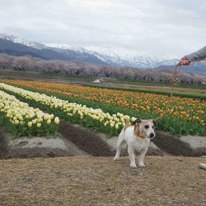 4a21a3b6 9af9 48fd aabf dc157c29fc76 1555678696806