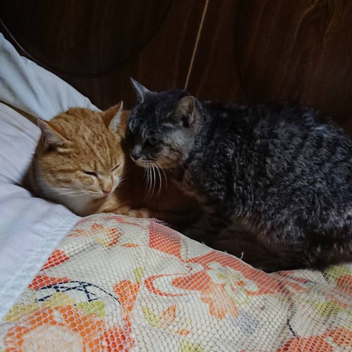 4a21e877 be4b 43c5 8cf2 47b038160b79 1580732371700