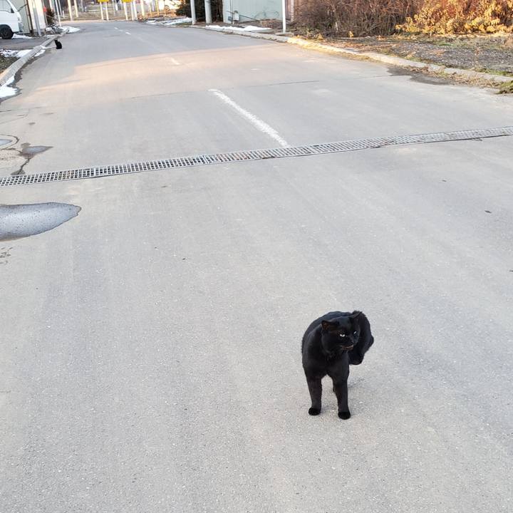 4a21e8b7 bf09 452e 8d87 39cca5b7ce37 1701691556150