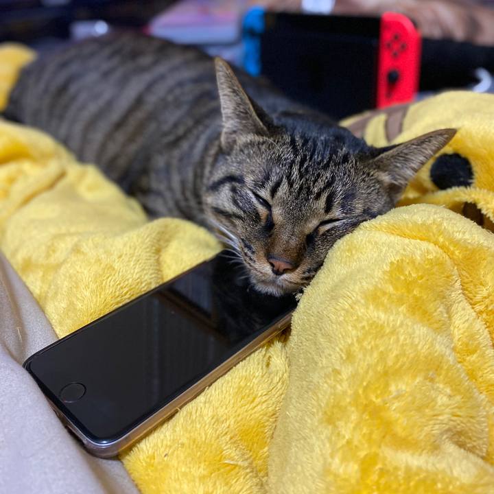 4a21fd55 29e8 4883 aa15 19055b97a574 1585663611807