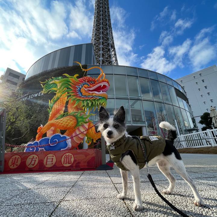 4a22284b 0b3d 477a bac2 b56b98edd1fa 1737371433201