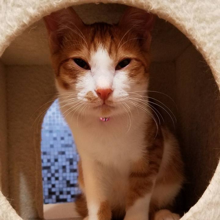 4a2256bf 9e66 4b42 83b3 ee549b57e414 1509783693038