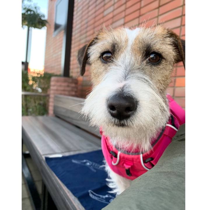 4a225e82 1617 408d 9193 d534f334bf81 1579425182947