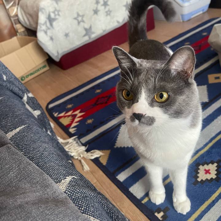 4a227340 25c4 4cc0 947d 42e0de77ec76 1627630459910